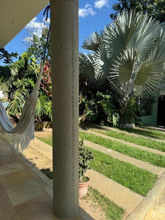 Zahrada ubytování Vila Serena