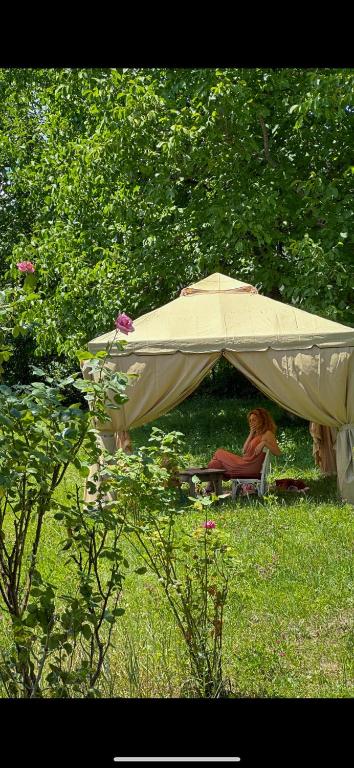 Zahrada ubytování guest house zizi