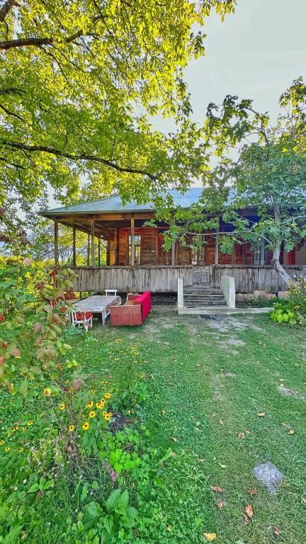 Zahrada ubytování guest house zizi