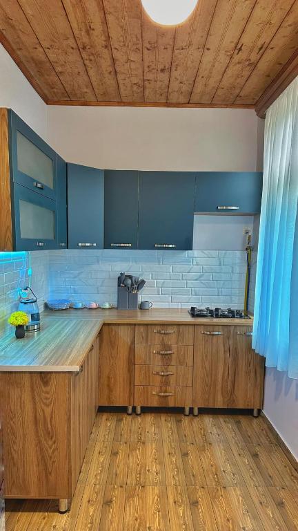 Kuchyň nebo kuchyňský kout v ubytování guest house zizi