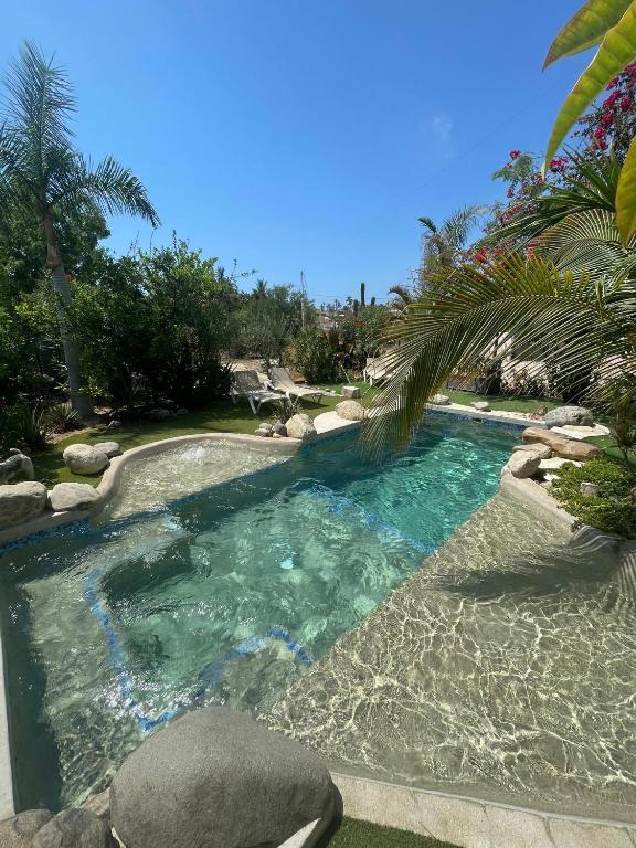 a swimming pool with a palm tree next to it at Tropical Oasis in San José del Cabo
