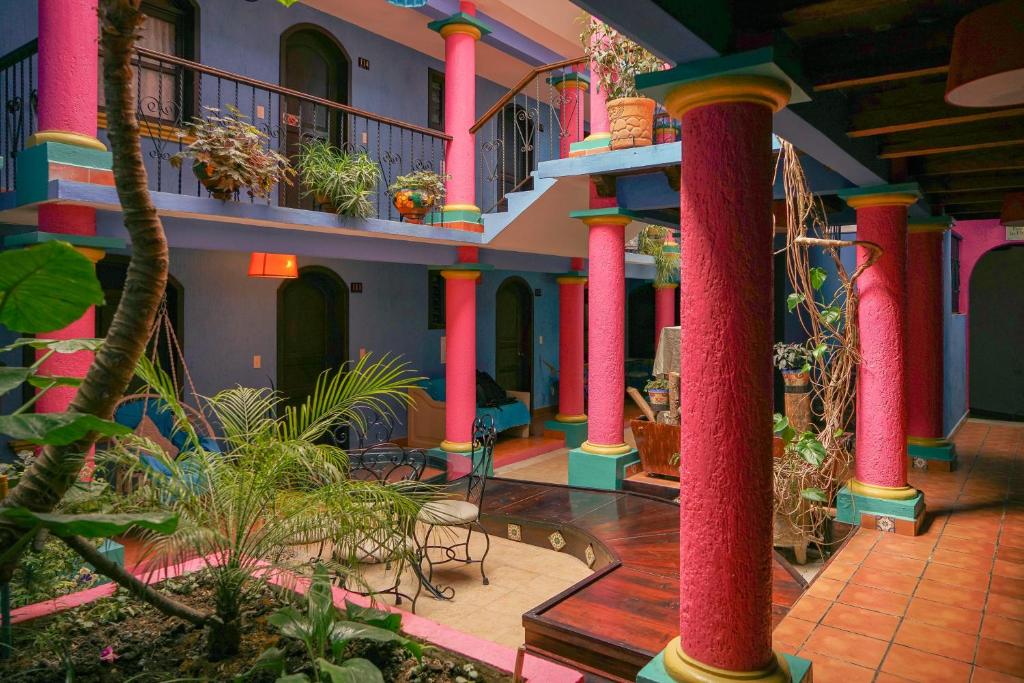 Zahrada ubytování Hotel Tepeyac