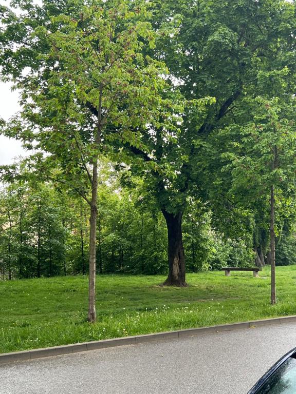 Fotografie z fotogalerie ubytování Komarovske nabr 2 v destinaci Komárov