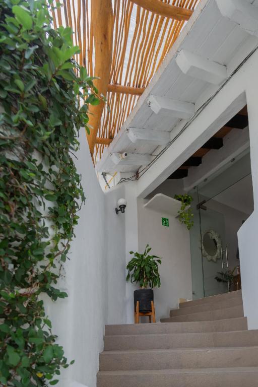 Fotografie z fotogalerie ubytování Hotel Amaca Puerto Vallarta - Adults Only v destinaci Puerto Vallarta