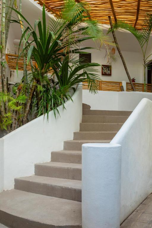 Fotografie z fotogalerie ubytování Hotel Amaca Puerto Vallarta - Adults Only v destinaci Puerto Vallarta