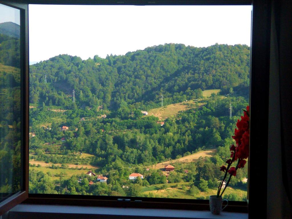 a window with a view of a mountain at Pavic SPA Milmari L34 in Kopaonik