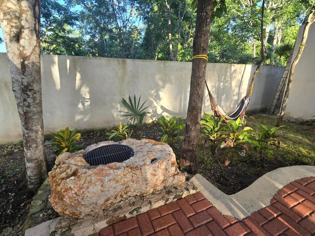 Zahrada ubytování Villa con jacuzzi en Bacalar