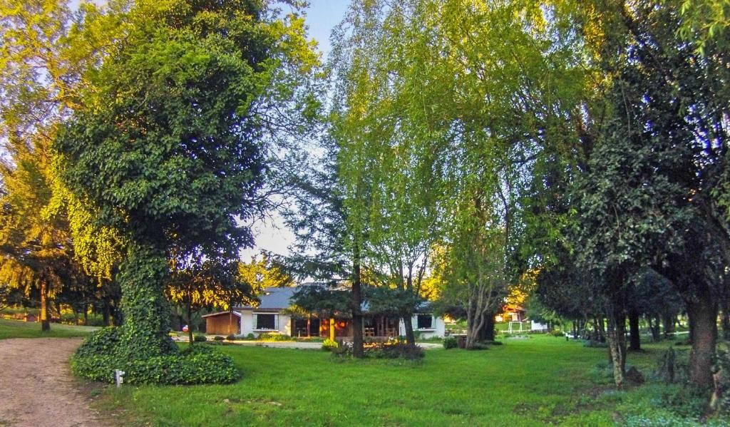 a group of trees in a park with a house at Hostal HM in Lautaro