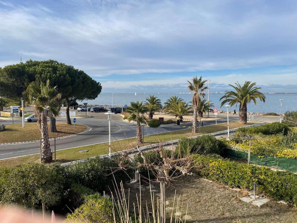Elle offre une vue sur une rue bordée de palmiers et l'océan. dans l'établissement Appartement cosy 4 pers avec parking à Port Camargue - FR-1-731-103, au Grau-du-Roi