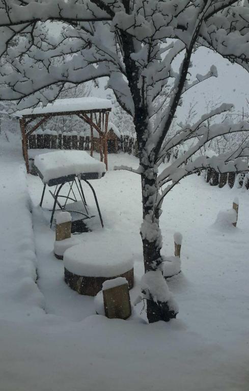 Popock Dilijan 1 зимой