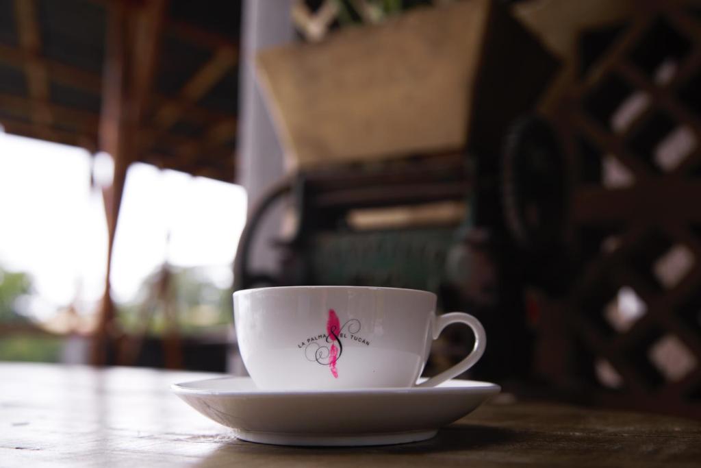 Fotografie z fotogalerie ubytování Hotel La Palma y El Tucán - Café y Naturaleza v destinaci Zipacón