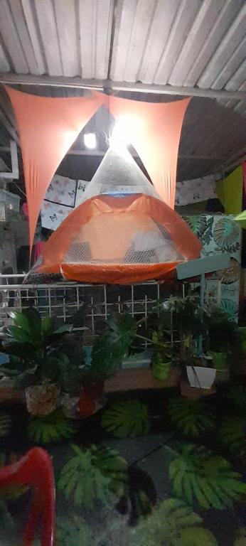 Fotografie z fotogalerie ubytování MANOA "Lugar de descanso" HABITACION CON VISTA A LA CIUDAD, FRESCO Y VENTILADO v destinaci Ibagué