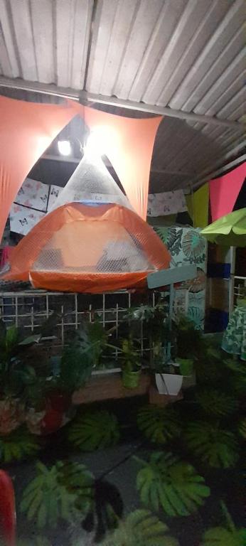 Fotografie z fotogalerie ubytování MANOA "Lugar de descanso" HABITACION CON VISTA A LA CIUDAD, FRESCO Y VENTILADO v destinaci Ibagué