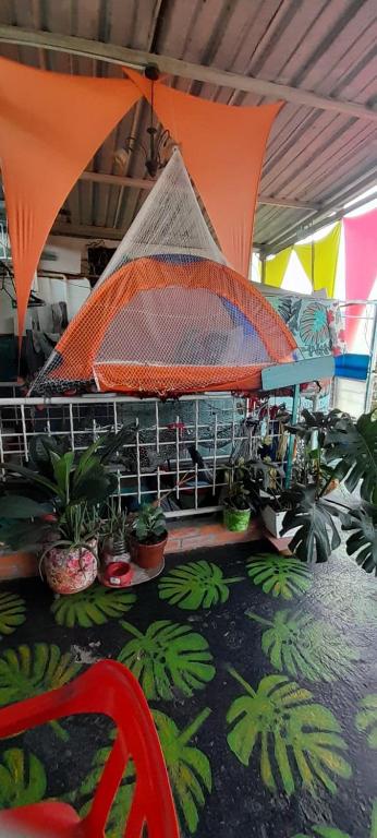 Fotografie z fotogalerie ubytování MANOA "Lugar de descanso" HABITACION CON VISTA A LA CIUDAD, FRESCO Y VENTILADO v destinaci Ibagué
