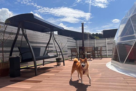 Domácí mazlíčci ubytovaní s hosty v ubytování RESORT SPA FutureRESORT