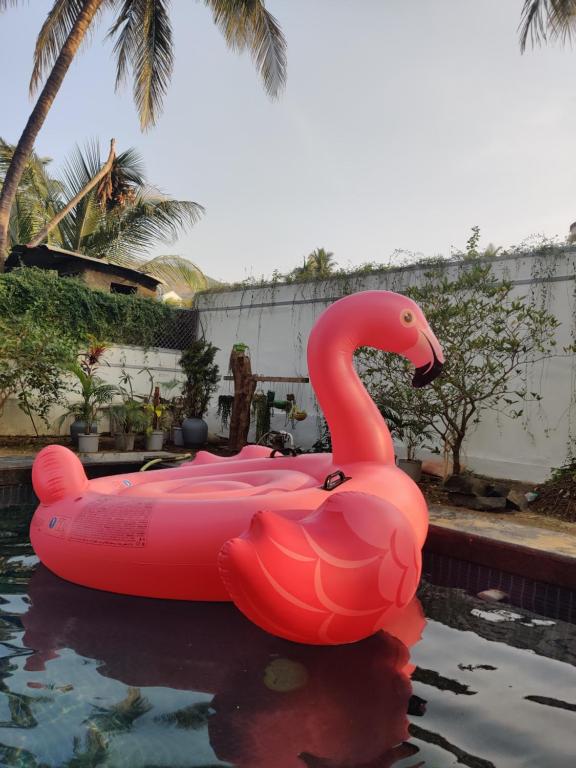 Casa Brij Villa Kashid Alibaug