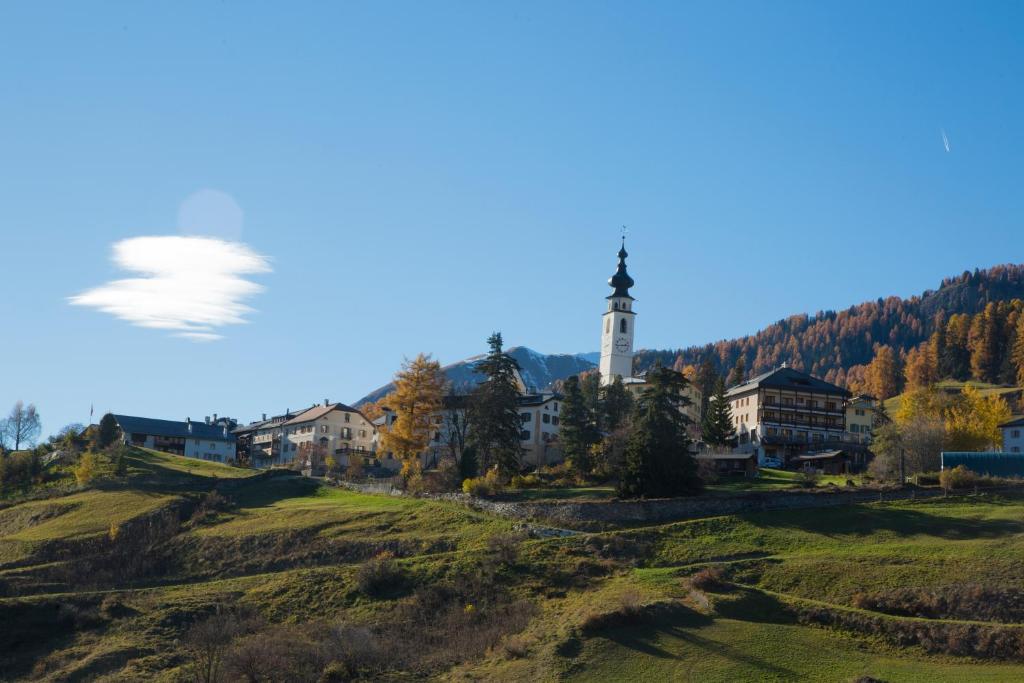 Příroda nedaleko hotelu
