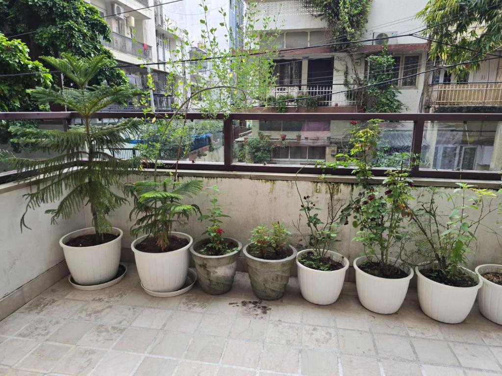 a row of plotted plants in white pots on a balcony at Two Green Park in New Delhi