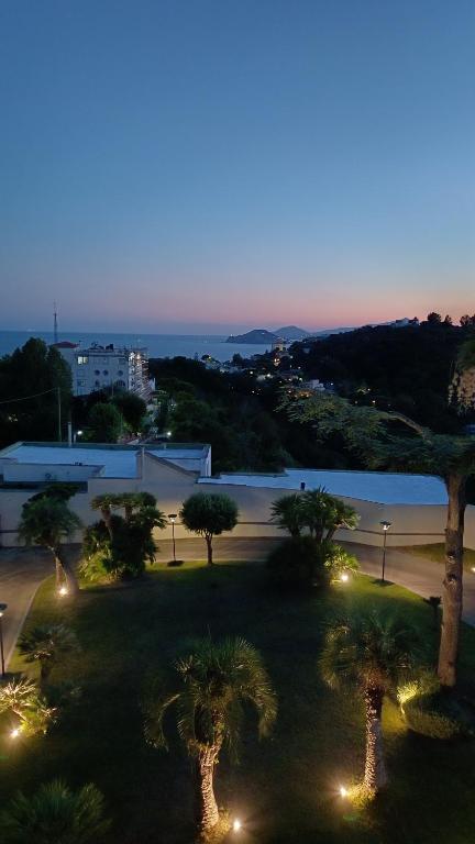 a park with palm trees and lights at night at RIAMA AGRIRESORT in Naples