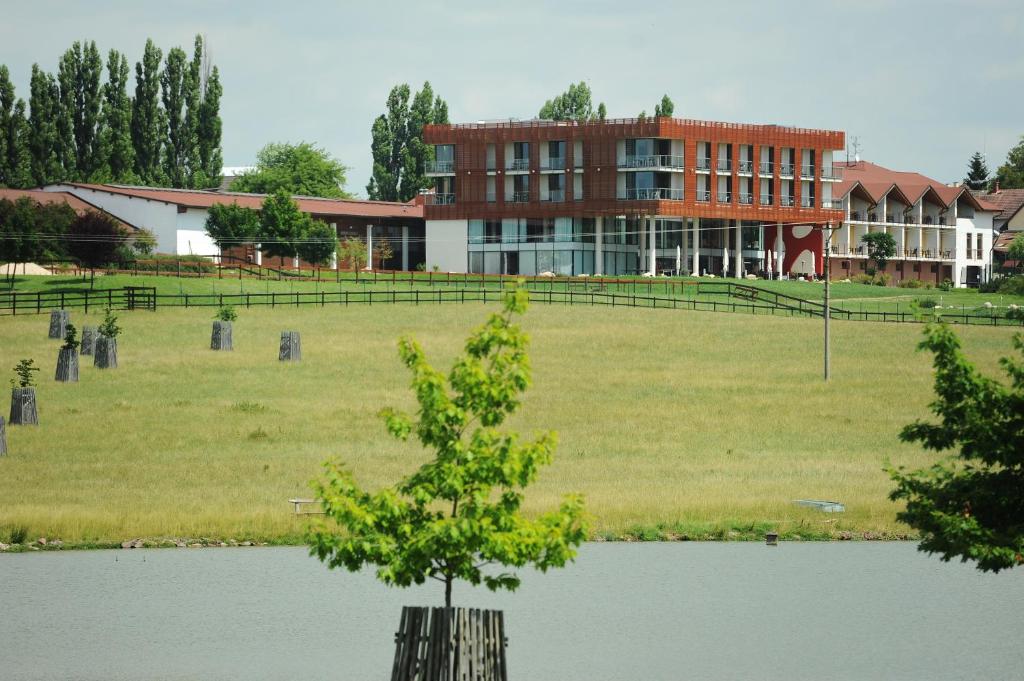 Příroda nedaleko hotelu