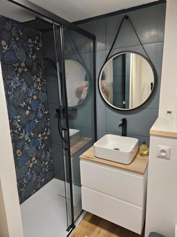 une salle de bain avec un lavabo et un miroir dans l'établissement Frontignan petite maison coquette 30 m2 à 100 m de la plage, à Frontignan