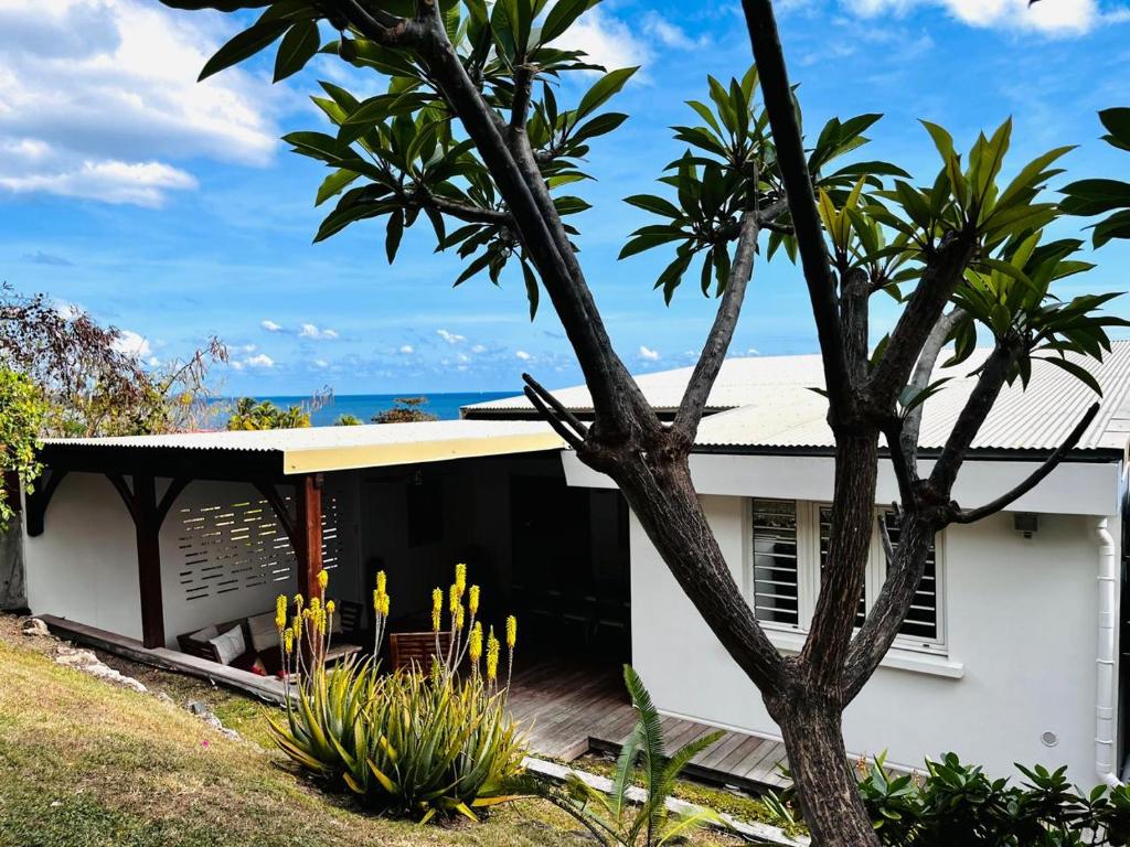 Zahrada ubytování Martinique Villa Escale Diamant