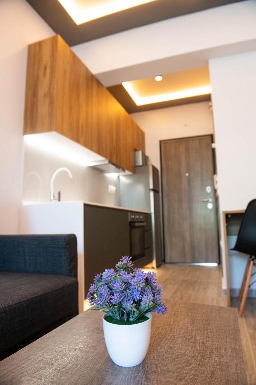 SKIA luxury living above the walls - 12