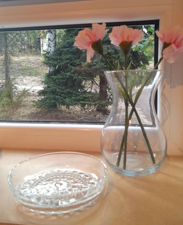 Foto dalla galleria di Pine tree cottage a Zlatibor