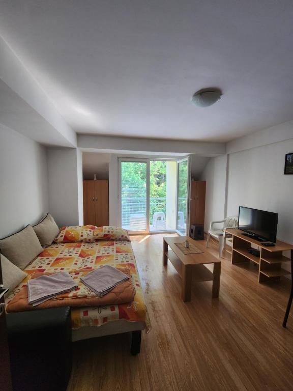 โทรทัศน์และ/หรือระบบความบันเทิงของ Apartment Joco