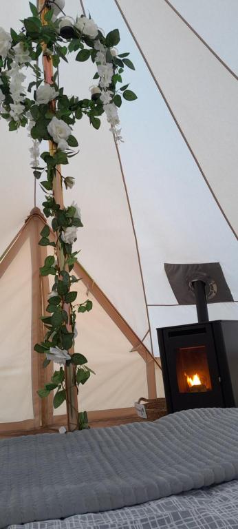 Fotografie z fotogalerie ubytování Fairy Fort at Rosemount Glamping v destinaci Carlingford