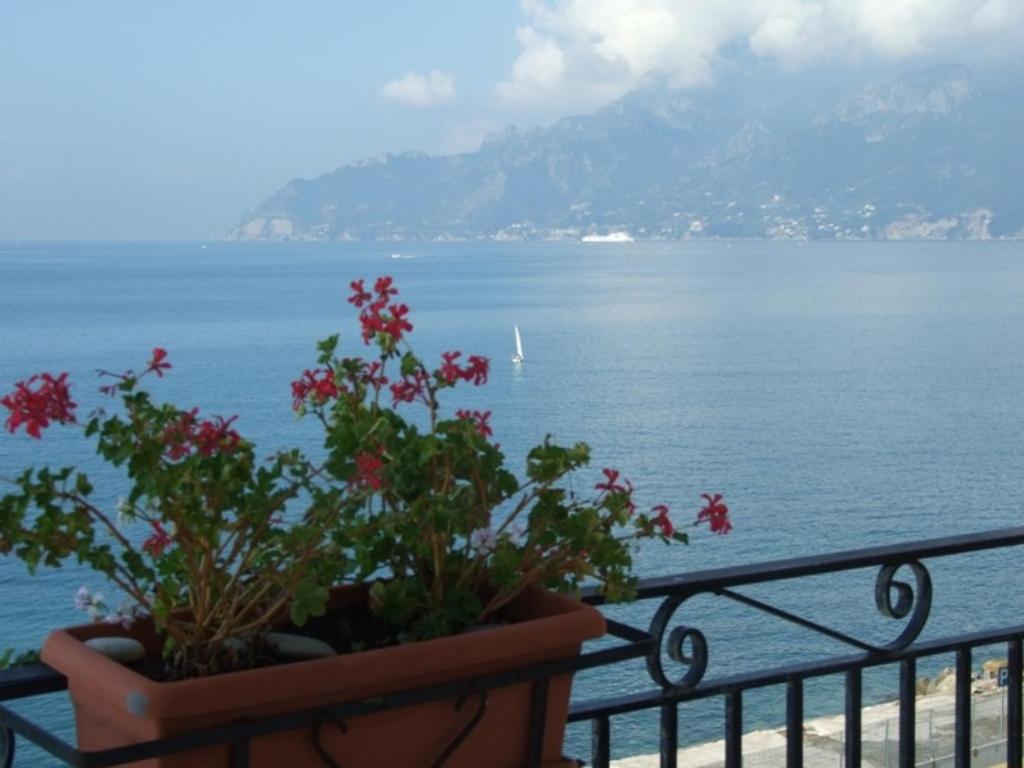 einen Balkon mit Blumen und Meerblick in der Unterkunft B&B Fronte Del Mare in Salerno