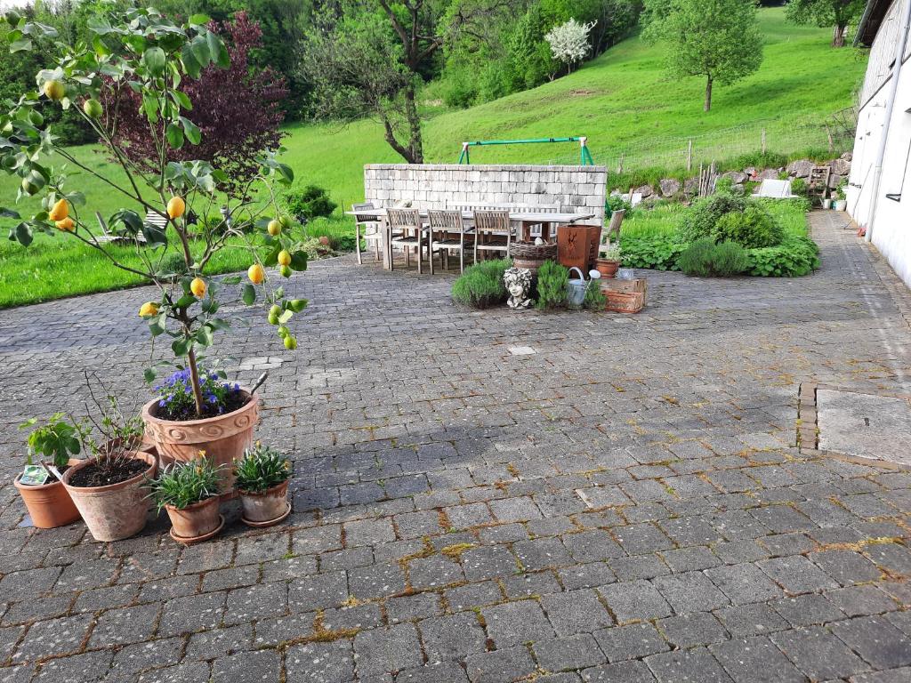 Taman di luar Loftartige Wohnung in Scheibbs mit Schwimmteich