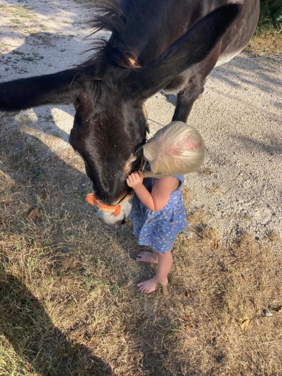 Děti v ubytování Agriturismo La Casa Del Mandorlo