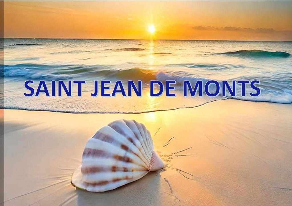 Une coquille sur la plage avec les mots envoyés apprennent des mois dans l'établissement Mobil home 2 chambres Saint-Jean-de-Monts, à Saint-Jean-de-Monts