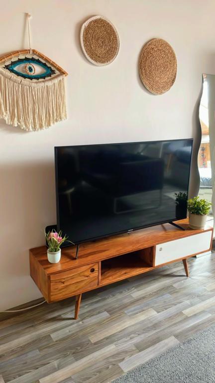 TV a/nebo společenská místnost v ubytování Cosy place near Atomium with parking