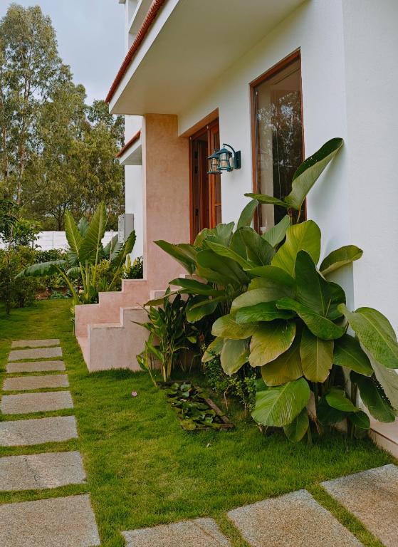 Zahrada ubytování Tuscan Breeze, Nandi Hills