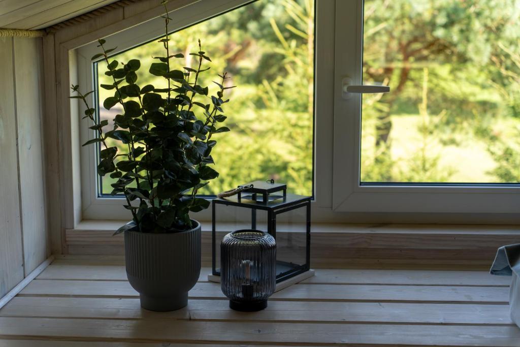 Zahrada ubytování Forrest Guest House Ameli