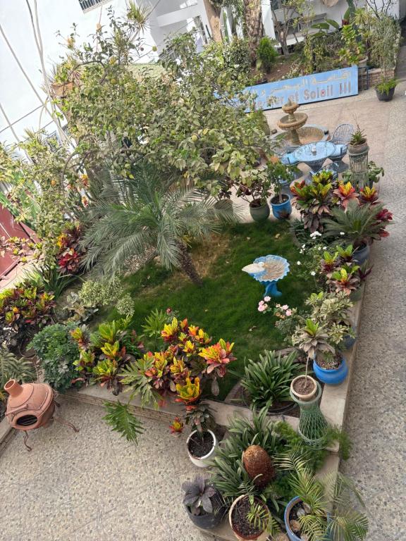 Zahrada ubytování Résidence Mer et soleil