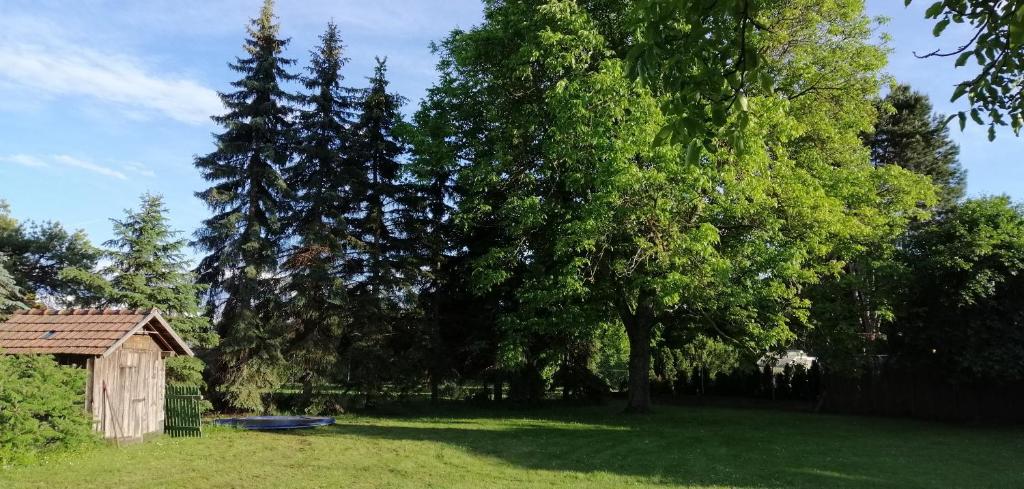 Zahrada ubytování Country Residence near Vienna