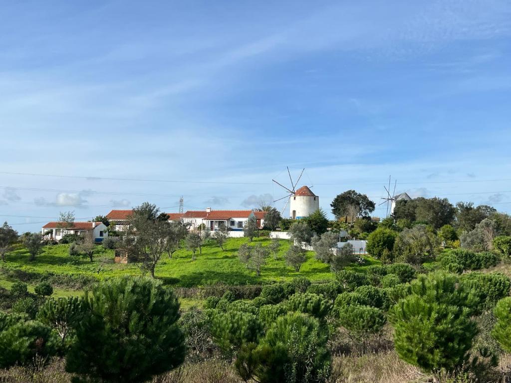 Příroda nedaleko apartmánu