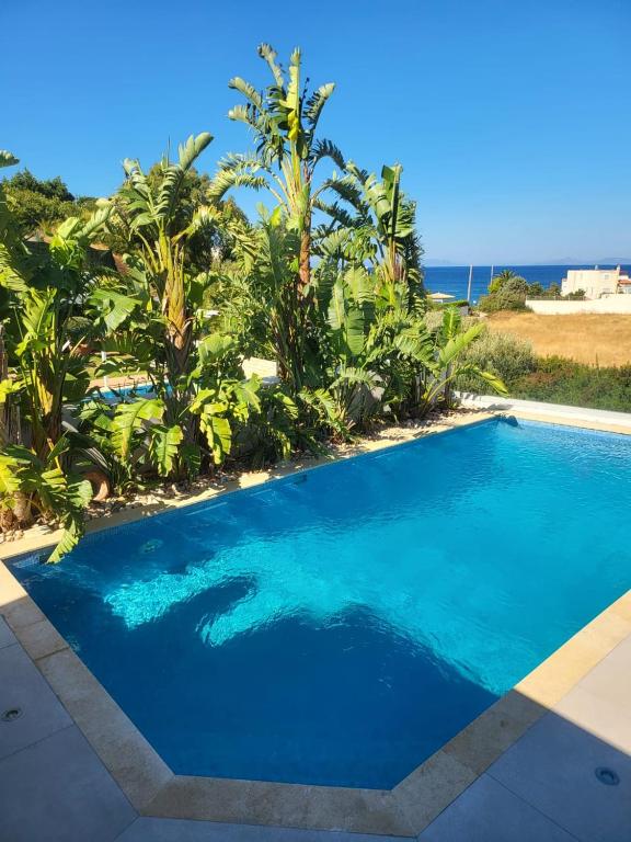 a blue swimming pool with the ocean in the background at Villa Solaris in Sounio