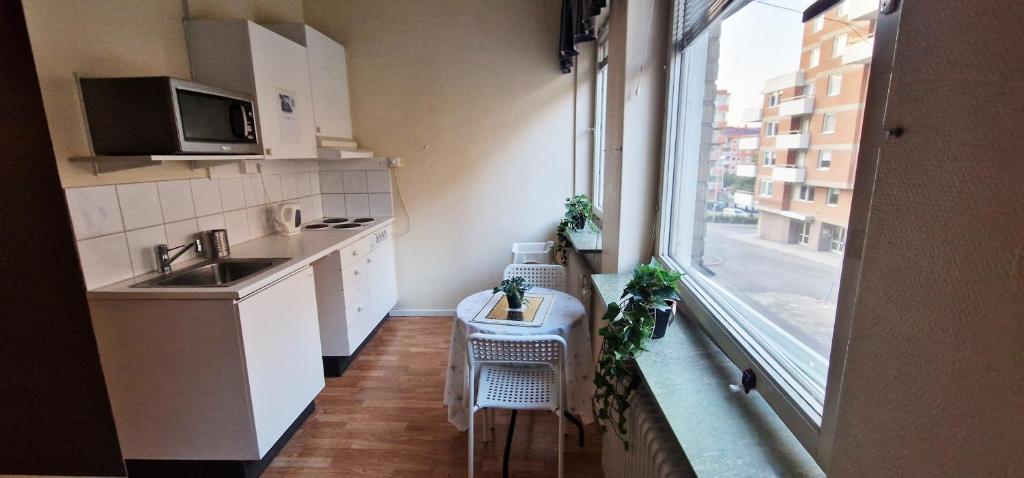 Kuchyň nebo kuchyňský kout v ubytování Hotell Drott