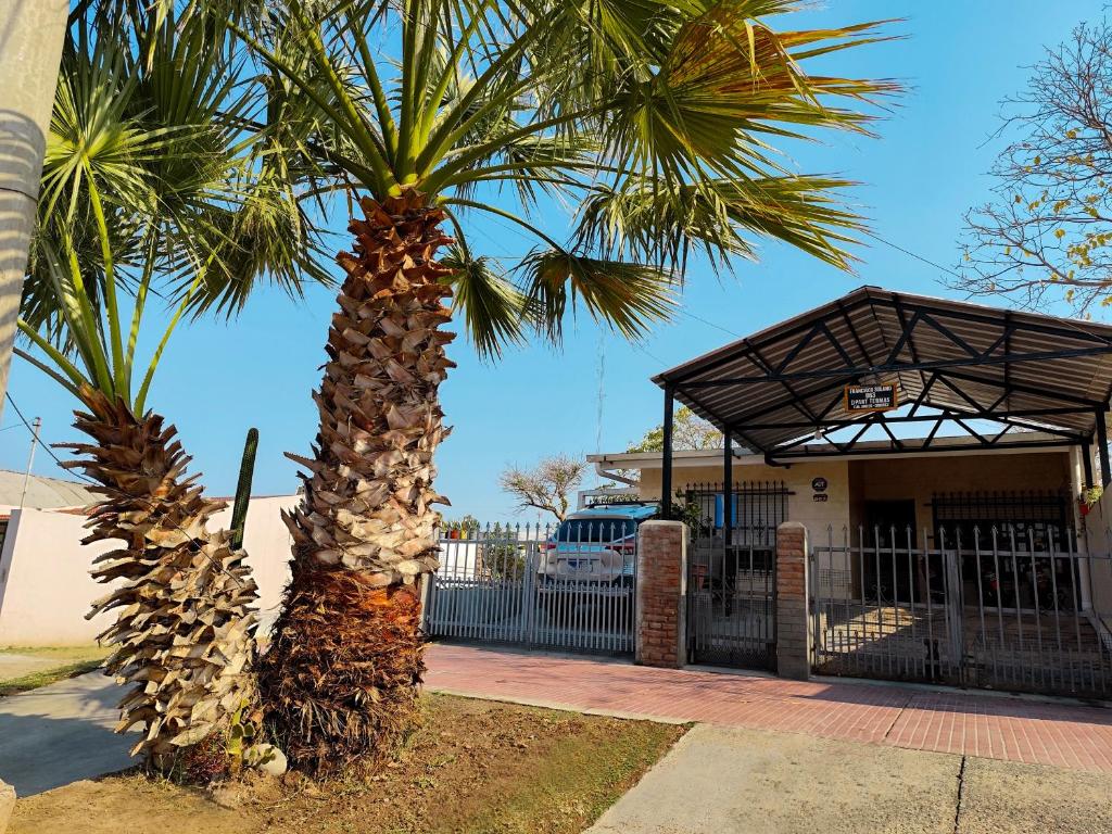 a palm tree in front of a building at Apart termas in Termas de Río Hondo
