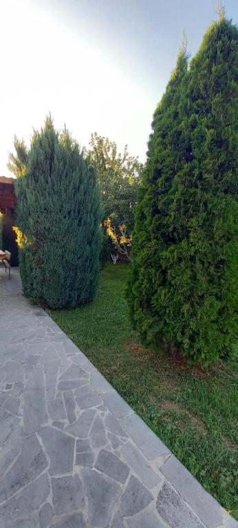 Zahrada ubytování Kalachi guest house Armenia