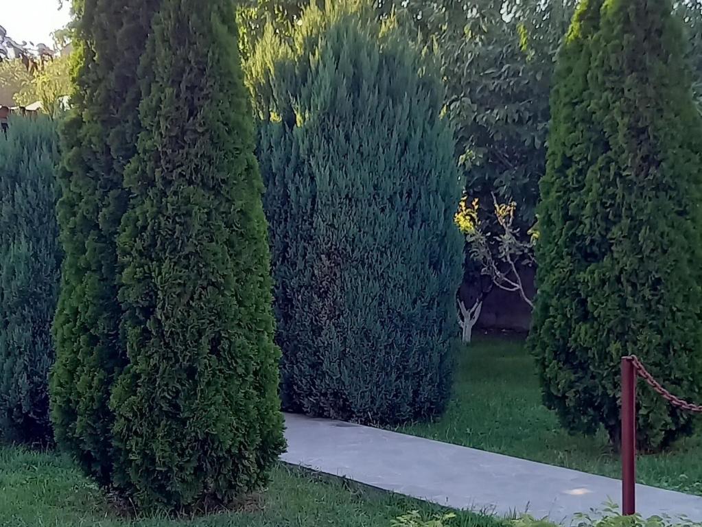 Zahrada ubytování Kalachi guest house Armenia