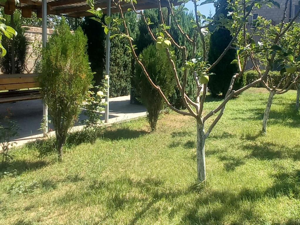 Zahrada ubytování Kalachi guest house Armenia