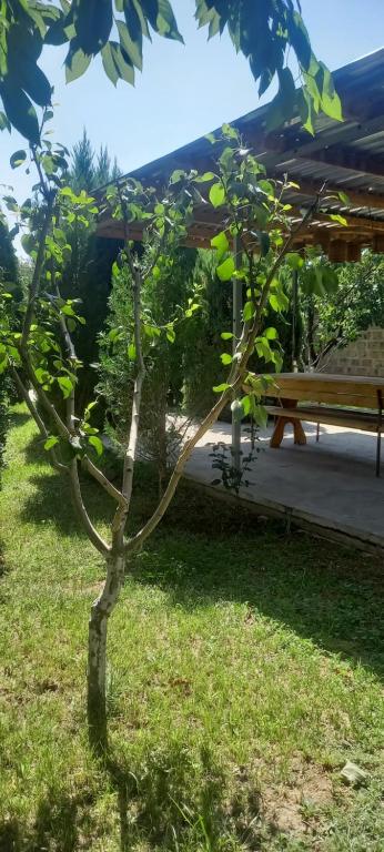 Zahrada ubytování Kalachi guest house Armenia