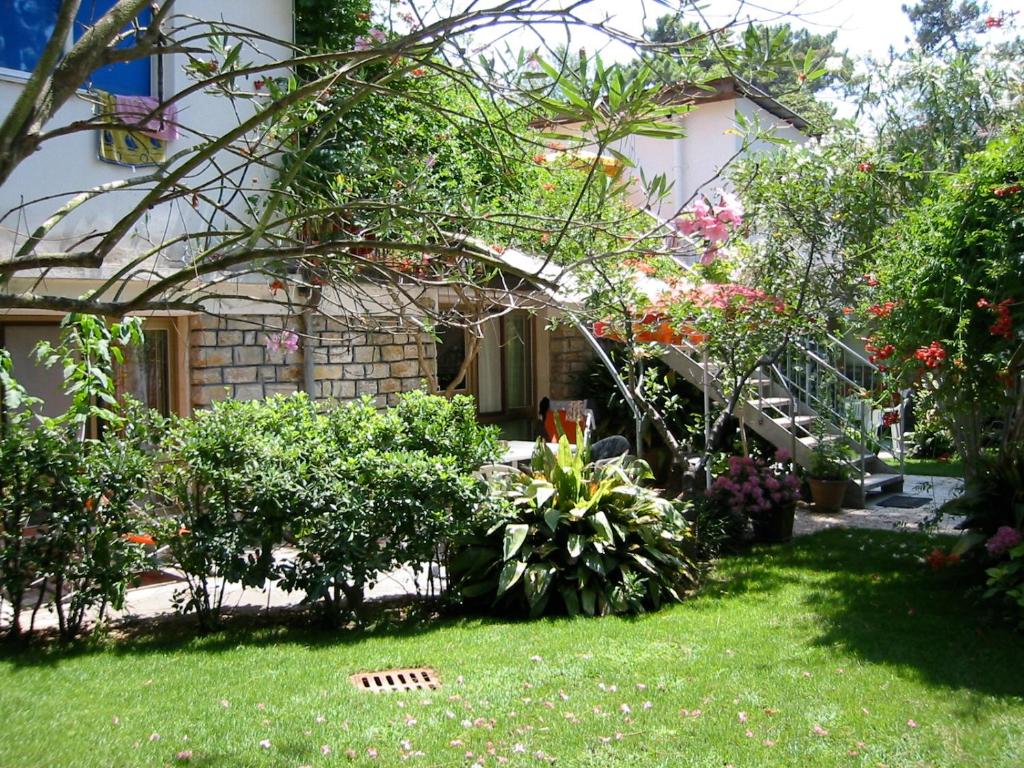 a garden in front of a house with plants at Casa Furrer in Tirrenia