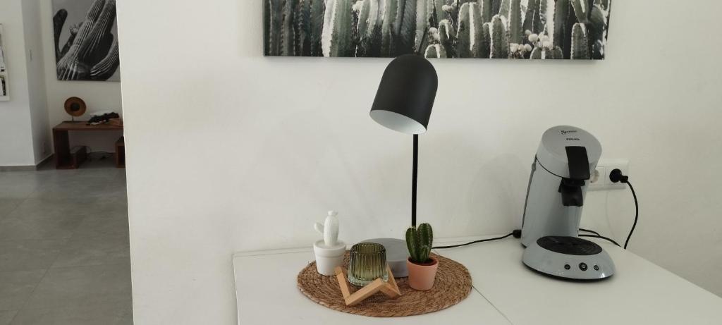 Fotografie z fotogalerie ubytování Totéki v destinaci Willemstad