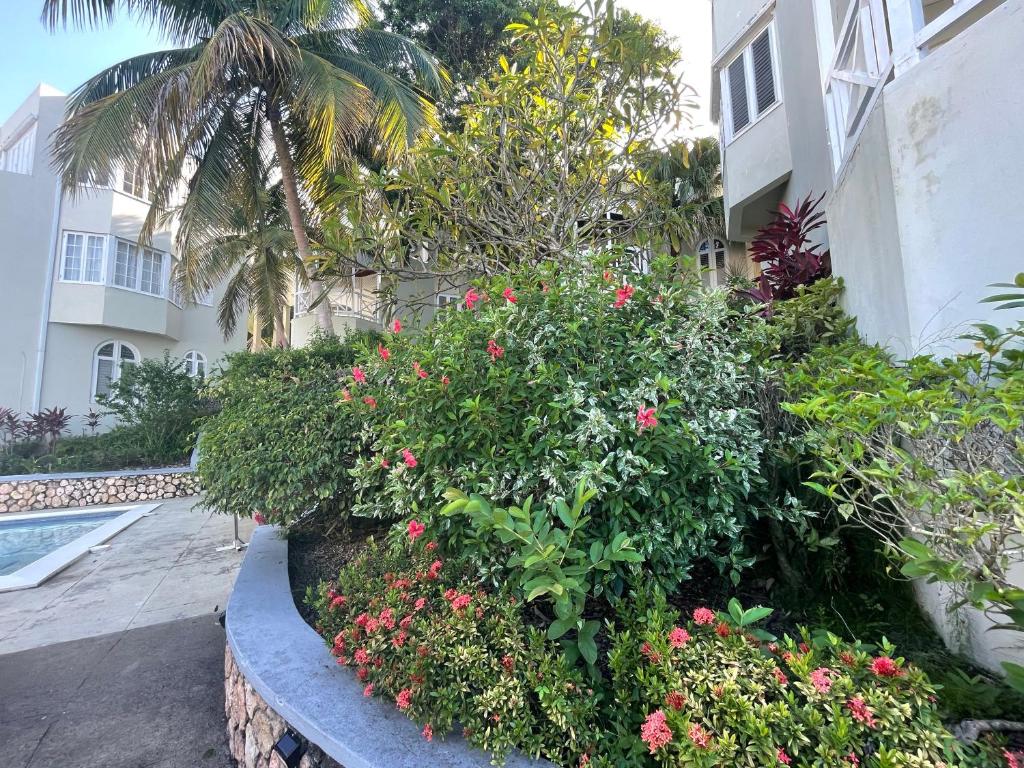 Zahrada ubytování OceanBreeze Jamaica Penthouse, 7-Minute Walk to Beach